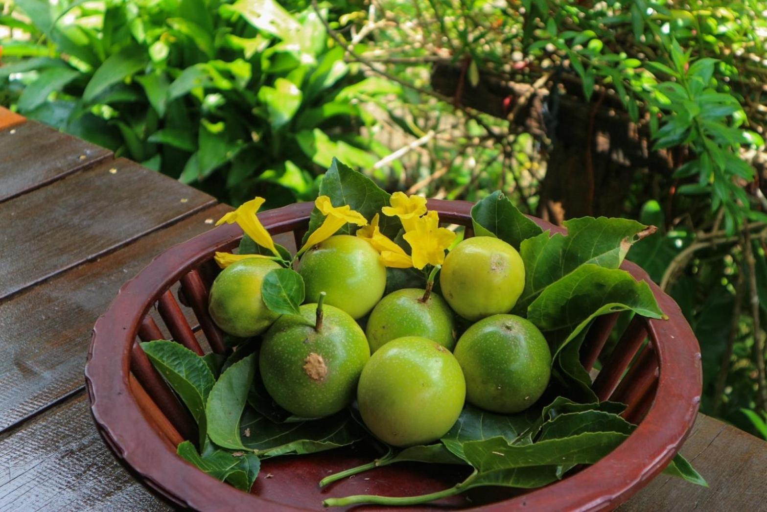 Hillhouse - Koh Yao Noi Bed and Breakfast Εξωτερικό φωτογραφία